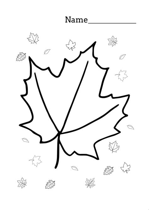 Leaf Coloring Workshee