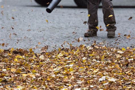 Leaf clean up. Use a leaf blower or vacuum to remove stubborn leaves – If there are leaves that are difficult to reach or remove with a rake, you can use a leaf blower or ... 