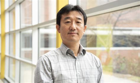 Leaf development ppt.  Feng Chen Department of Plant Sciences University of ...