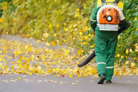 Leaf removal. The city's curbside leaf collection program begins in late October / early November each year. 