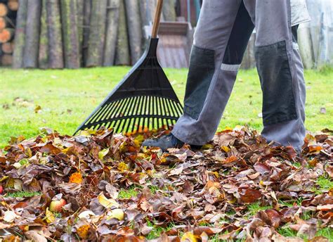 Leaf removal cost. Leaf removal costs between $400 and $1,000 per acre on average. Nationally, the cost of leaf removal averages about $350. Cost factors for this project include lawn size, leaf removal method, tree density, location, and the time required to do the job. 