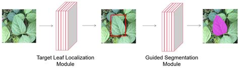 Leaf segmentation code.  Our task is to fulfillthese two tasks through cla...