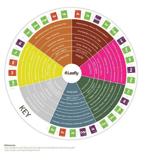 This item: Goldleaf Primary Terpenes Art Print: The Cannabis Flavor Palate Infographic Chart, Terpene Poster, Marijuana Flavors Infographic, Elevated Stoner Decor, Weed Chart Wall Art (18x24) $35.99 $ 35. 99. Get it Jul 13 - 20. Usually ships within 6 to 7 days. Ships from and sold by Goldleaf Ltd. +. 