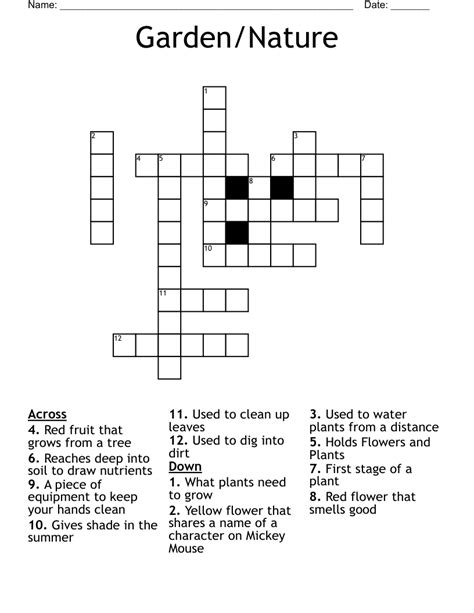 Leafy garden plant nyt crossword. Things To Know About Leafy garden plant nyt crossword. 