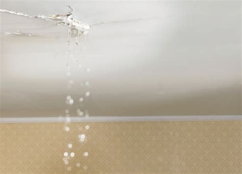 Leaking ceiling. Water leaking from your ceiling? We’re here to help with ceiling water damage repair. With more than 2,100 franchise locations across the United States and Canada, rest assured there is a location nearby , ready to assist with your cleanup and restoration needs around the clock. 