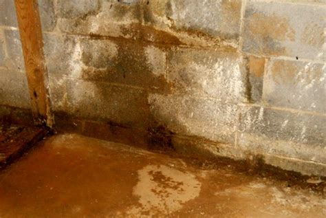 A damp, leaky or apparently wet basement can be a sign of a bigger problems hidden in your basement such as foundation cracks or collapsed storm drains and eventually it may result in mold formation, which can pose a serious health risk to you and your family. If you notice dampness or a musty smell, chances are, there is a leak in your basement.. 