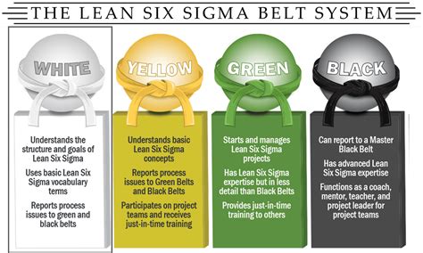 Lean Six Sigma White Belt Training Materials