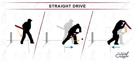 Learn 8 Basic Cricket Shots: How to Play as a Beginner