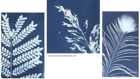 Learn About Cyanotypes And the Process to Make …