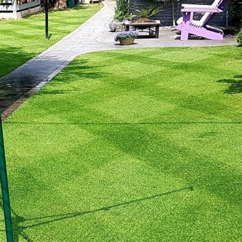 Learn About Premier Grass