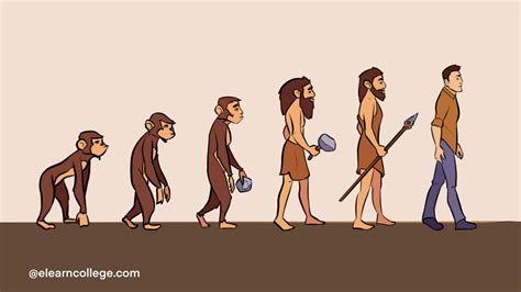 Learn Evolution - Understanding Evolution