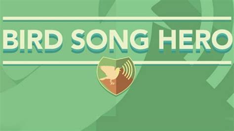 Learn How to Bird by Ear With Our Bird Song Hero Game