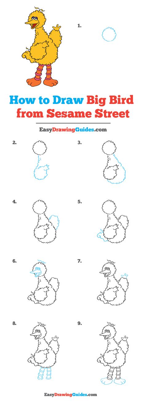 Learn How to Draw Big Bird from Sesame Street Easy StepbyStep