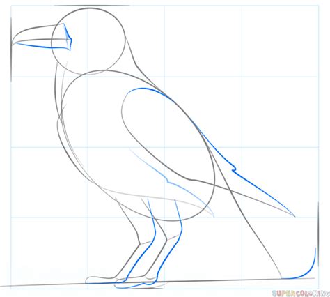 Learn How to Draw Raven Easy StepbyStep Drawing Tutorial for Kids