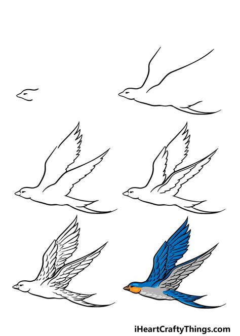 Learn How to Draw a Flying Bird (Birds) Step by Step Drawing Tutorials