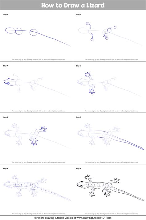 Learn How to Draw a Green Lizard (Lizards) Step by Step Drawing Tutorials