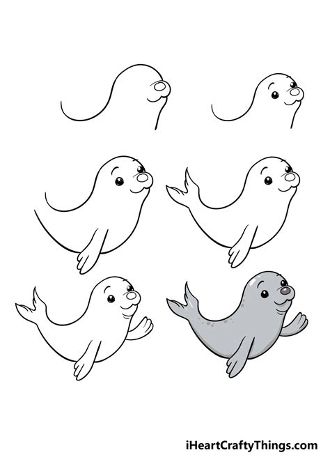 Learn How to Draw a Harbor Seal (Seals) Step by Step Drawing Tutorials