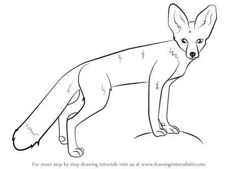 Learn How to Draw a Kit Fox (Wild Animals) Step by Step Drawing Tutorials
