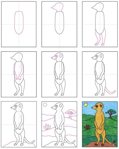 Learn How to Draw a Meerkat (Wild Animals) Step by Step Drawing Tutorials