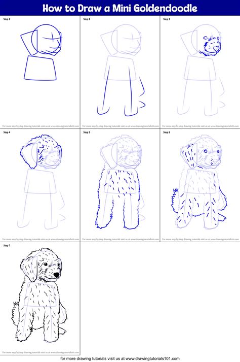 Learn How to Draw a Mini Goldendoodle (Dogs) Step by Step Drawing Tutorials