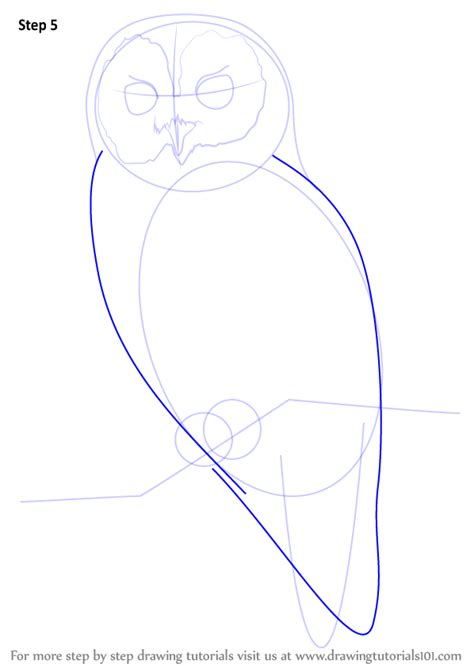 Learn How to Draw a Tawny Owl (Owls) Step by Step Drawing Tutorials