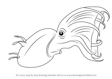 Learn How to Draw a Vampire squid (Squids) Step by Step Drawing Tutorials