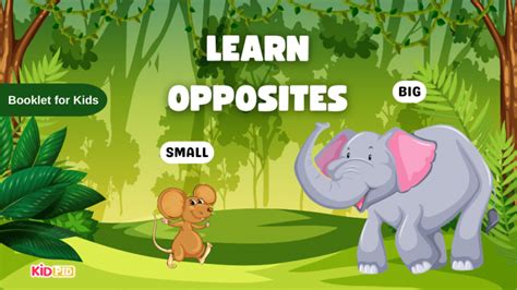Learn Opposite Words Kidpid