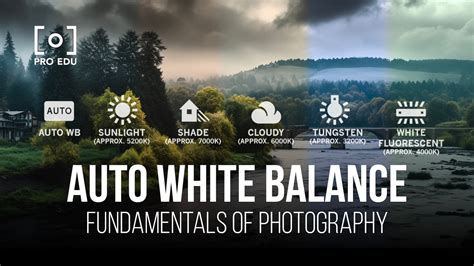 Learn When to Avoid Using Auto White Balance