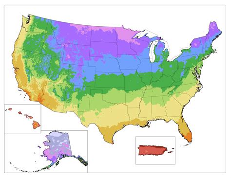 Learn Your Hardiness Zone to Find the Best Plants - Lowes