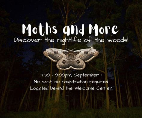 Learn about nighttime insects with a local entomologist