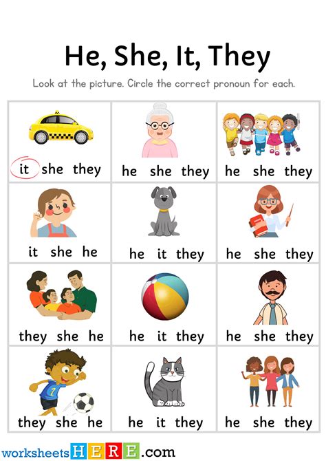Learn and Practice Personal Pronouns with Engaging Exercises
