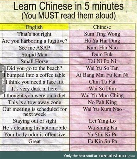 Learn chinese in five minutes FunSubstance