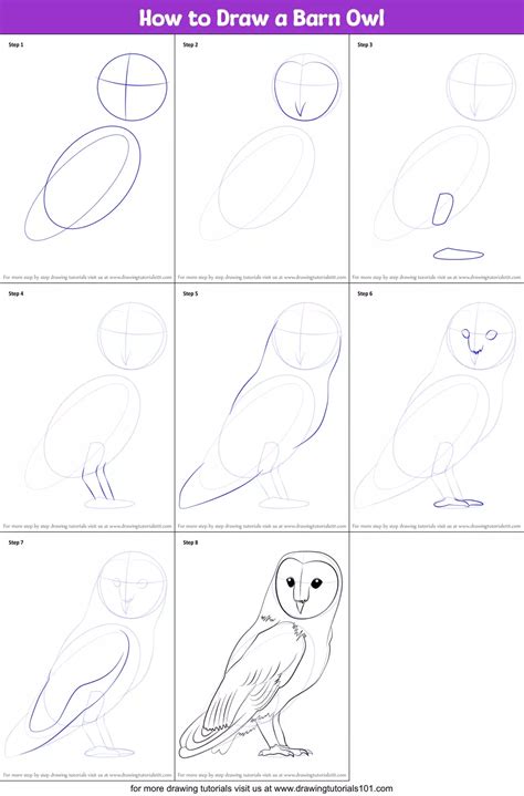 Learn how to draw a Barn Owl with this step by step drawing tutorial