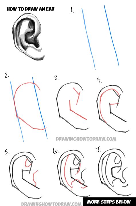 Learn how to draw ears using this step by step process made for