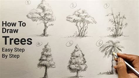 Learn how to draw trees in this simple step by step demonstration of