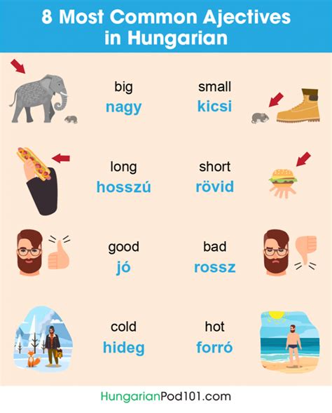 Learn hungarian. Usually, they make sense to a sentence alongside with nouns, adverbs or numerals. Let’s look at eight common Hungarian verbs and adjectives! On this week, you can learn Hungarian essentials again, and this time, the topic is verbs and adjectives! Thanks to Hungarian Pod, you can easily learn Hungarian at any levels through … 