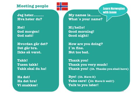 Learn norwegian. Ways to Learn Norwegian. There are several options available when learning how to speak Norwegian: hiring a private tutor, enrolling in a language course (in school or online), studying alone with a CD-ROM or audio course, joining an exchange program, or practicing conversational Norwegian with a native speaker (a so-called tandem partner). 
