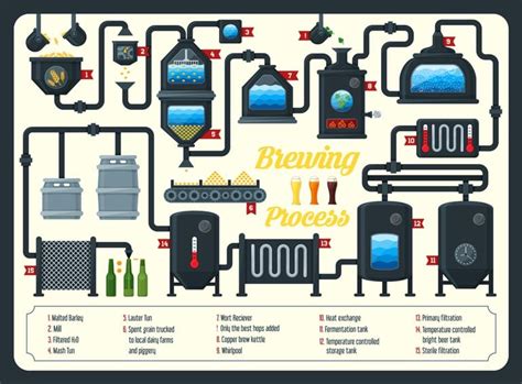 Learn the Step-by-Step Process Of Brewing Beer