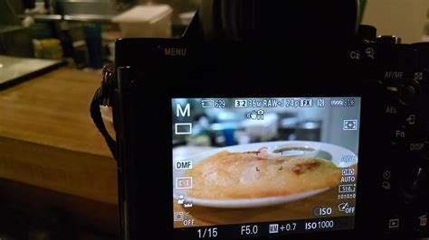 Learn to Decipher the Camera Display Screen Information