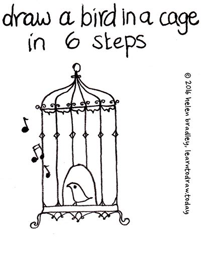 Learn to Draw a Bird in a Cage in 6 Steps Learn To Draw