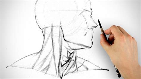 Learn to Draw the Neck Form and Assignment Example YouTube
