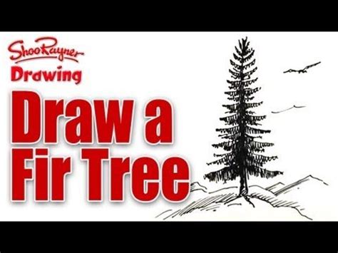 Learn to draw a Fir Tree spoken tutorial YouTube