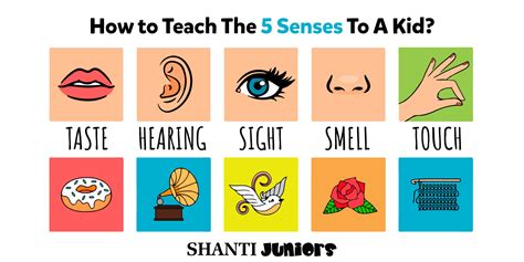 Learn to have fun with your senses the kids sensory survival guide. - La gioia di cristo nel quarto vangelo.