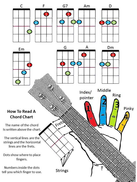 Learn ukulele. Wrong! Here are the three main reasons: First, once you’ve learned all the main barre chord shapes (we’ll cover those later in the article), you can play pretty much any chord. That’s because barre chords are moveable. Let me explain. Beginner chords such as Am, C, F and G are all pretty straightforward to play. 