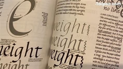 Full Download Learn Calligraphy The Complete Book Of Lettering And Design By Margaret Shepherd