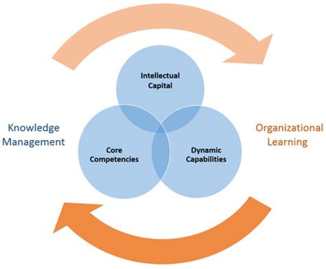 Learning Dynamic Capabilities in healthcare organizations – a ...