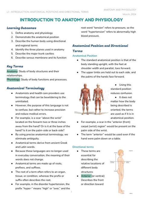 Learning Package Introduction To Regional Anatomy