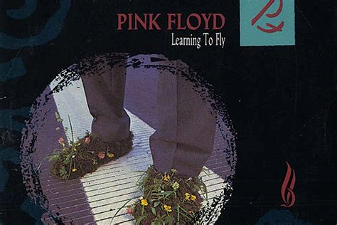 Learning To Fly