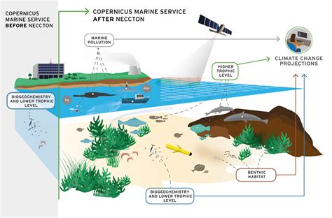 Learning about Copernicus Marine Environment Monitoring Service “CMEMS ...