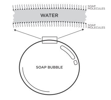 Learning about bubbles.  A bubble is just air wrapped in soap film.  A bubble...